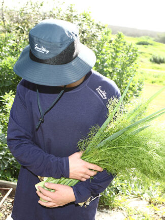 UPF50+ bamboo shirts filter sunscreen